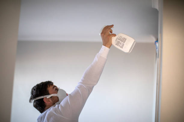 Best Mold Removal and Inspection  in Wtmore Village, HI