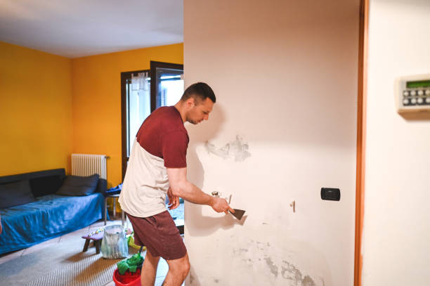 Office Mold Removal Services in Whitmore Village, HI