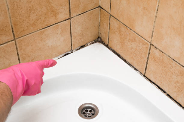 Best Mold Cleaning Services  in Wtmore Village, HI